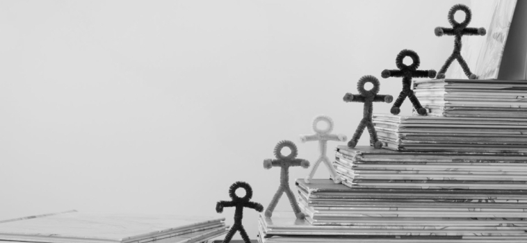 Primary Subject Leader Networks